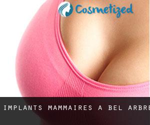 Implants mammaires à Bel Arbre