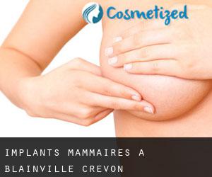 Implants mammaires à Blainville-Crevon