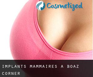 Implants mammaires à Boaz Corner