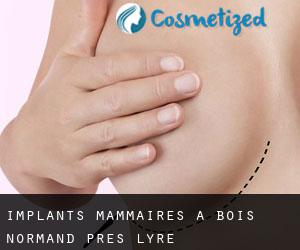 Implants mammaires à Bois-Normand-près-Lyre