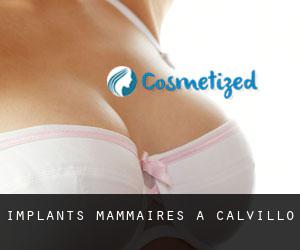 Implants mammaires à Calvillo