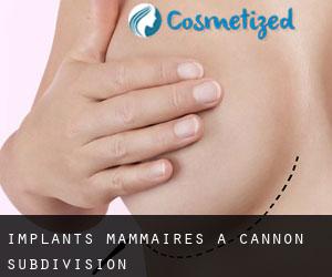 Implants mammaires à Cannon Subdivision