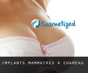 Implants mammaires à Chameau