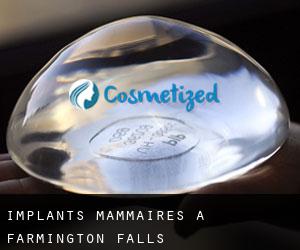Implants mammaires à Farmington Falls