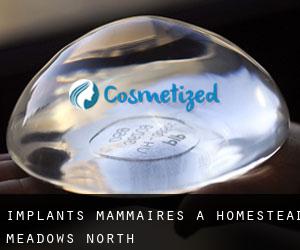 Implants mammaires à Homestead Meadows North