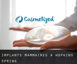 Implants mammaires à Hopkins Spring