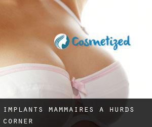Implants mammaires à Hurds Corner