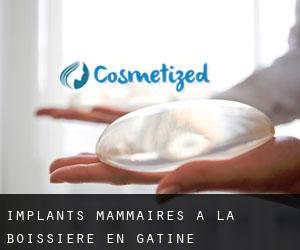 Implants mammaires à La Boissière-en-Gâtine