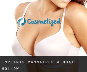 Implants mammaires à Quail Hollow