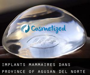 Implants mammaires dans Province of Agusan del Norte par municipalité - page 1