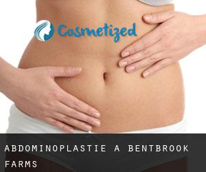 Abdominoplastie à Bentbrook Farms