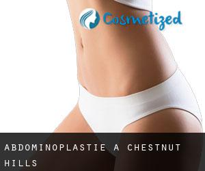 Abdominoplastie à Chestnut Hills