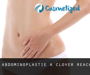 Abdominoplastie à Clover Reach