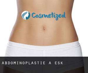 Abdominoplastie à Esk