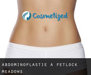 Abdominoplastie à Fetlock Meadows