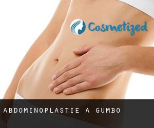 Abdominoplastie à Gumbo