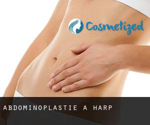 Abdominoplastie à Harp