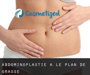 Abdominoplastie à Le Plan-de-Grasse