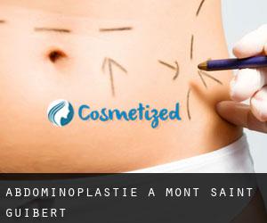 Abdominoplastie à Mont-Saint-Guibert
