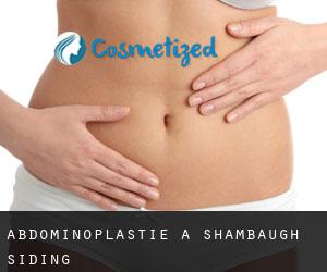 Abdominoplastie à Shambaugh Siding