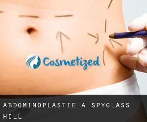 Abdominoplastie à Spyglass Hill