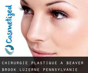 chirurgie plastique à Beaver Brook (Luzerne, Pennsylvanie)