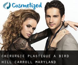 chirurgie plastique à Bird Hill (Carroll, Maryland)