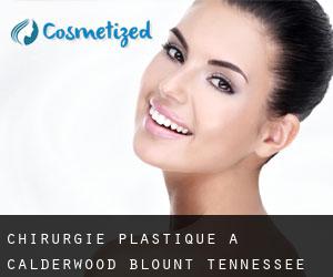 chirurgie plastique à Calderwood (Blount, Tennessee)