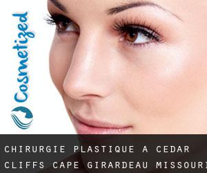 chirurgie plastique à Cedar Cliffs (Cape Girardeau, Missouri)