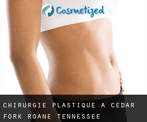 chirurgie plastique à Cedar Fork (Roane, Tennessee)