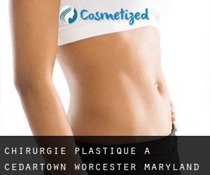 chirurgie plastique à Cedartown (Worcester, Maryland)