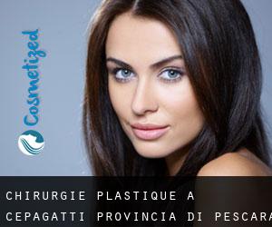 chirurgie plastique à Cepagatti (Provincia di Pescara, Abruzzes)