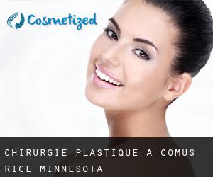 chirurgie plastique à Comus (Rice, Minnesota)