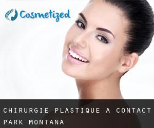 chirurgie plastique à Contact (Park, Montana)