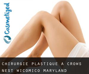 chirurgie plastique à Crows Nest (Wicomico, Maryland)