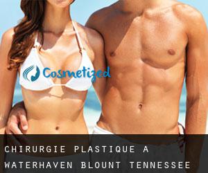 chirurgie plastique à Waterhaven (Blount, Tennessee)